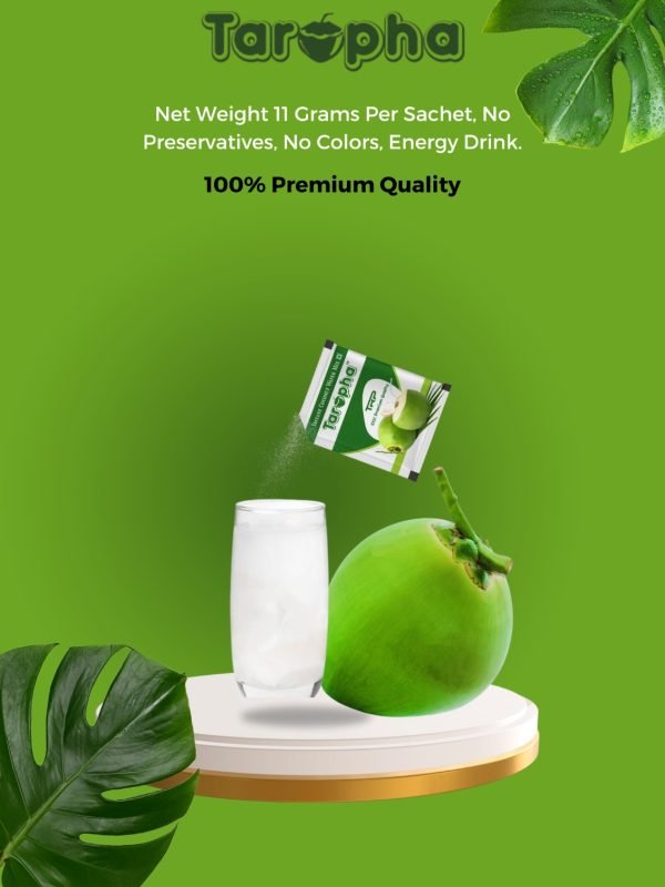 WhatsApp Image 2024-08-29 at 17.13.15_f0f5d5f9